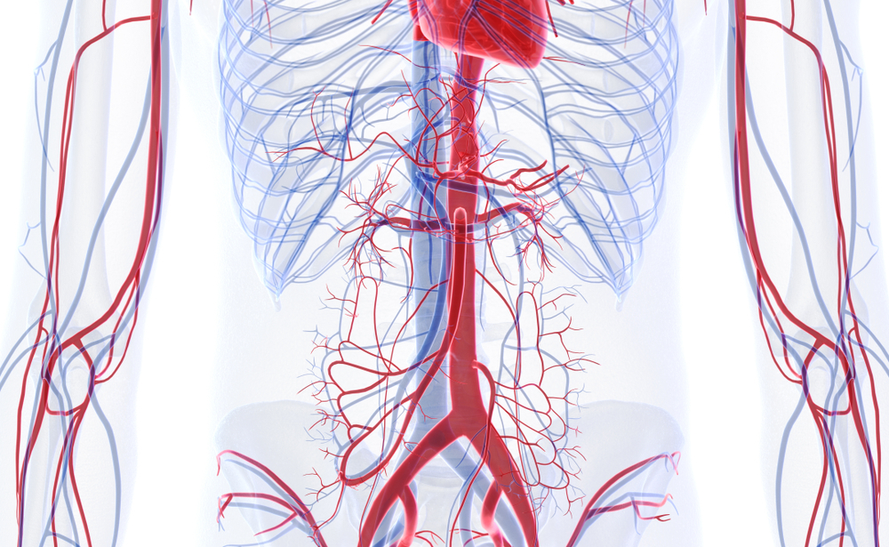 L’Écho-Doppler Artériel de l'Aorte Abdominale et ses Branches