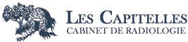 logo Les Capitelles
